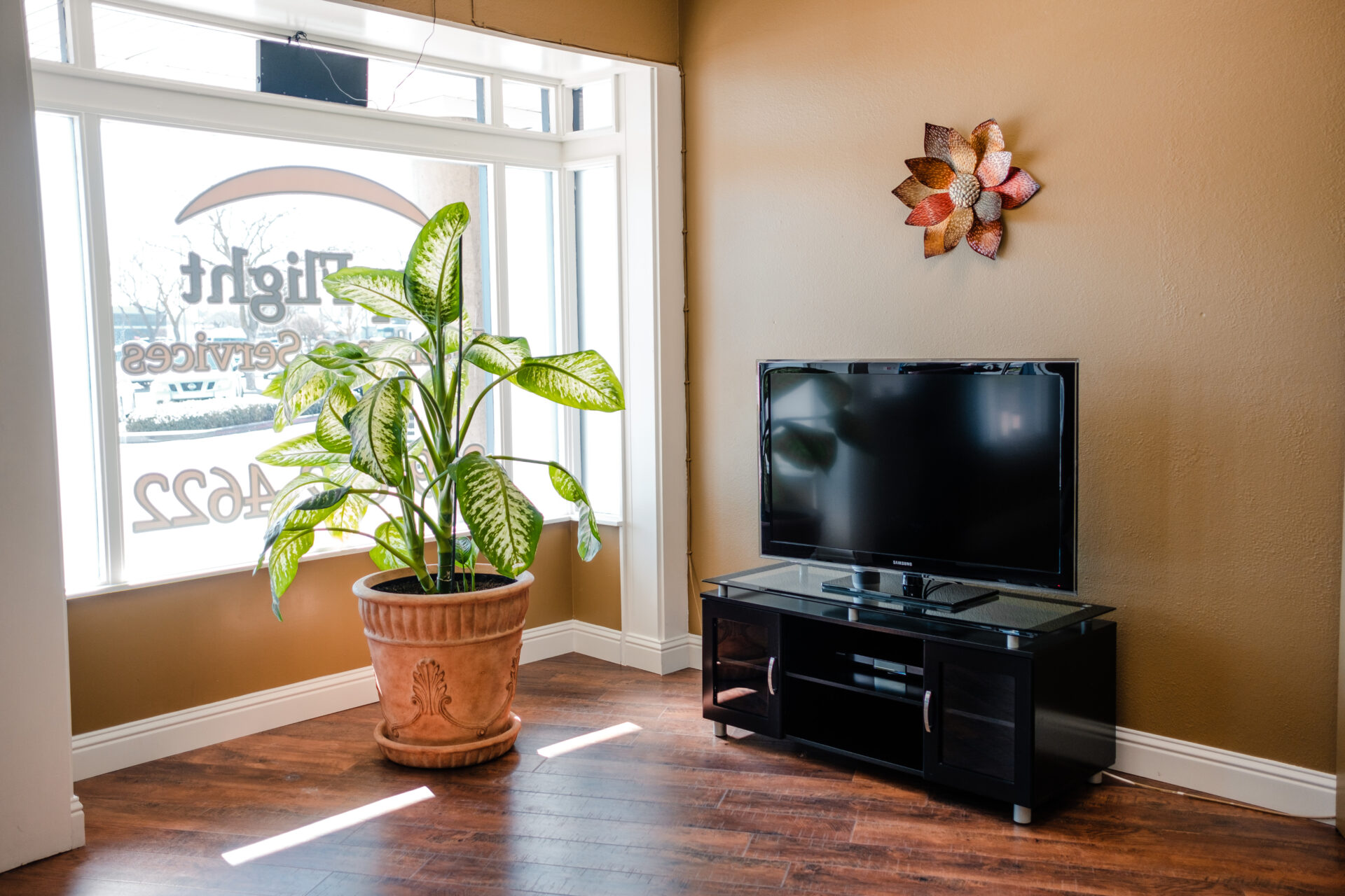 Interior - Plant and tv